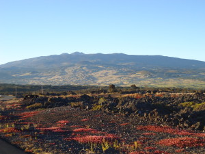 View of Mauna Kea from the Saddle Road